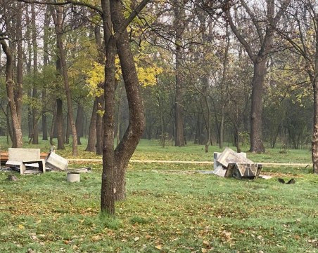 Вандалът от погрома в Лаута пристигнал в Пловдив на секс туризъм с непълнолетни момчета