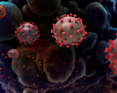 СЗО свиква специална среща в петък за новия COVID вариант, открит в Южна Африка