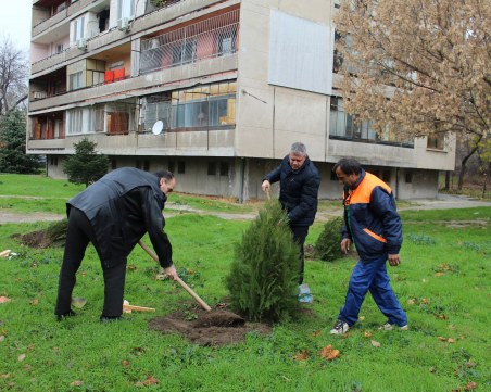 Залесителна акция се проведе в район 
