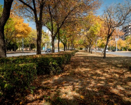 До 9 градуса в Пловдив днес