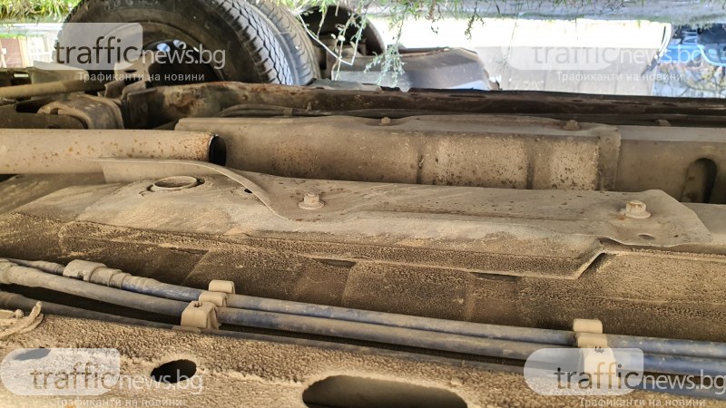 Събуждате се, качвате се на колата, чувате страшен рев. Погледнете