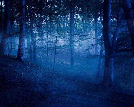 Откриха мъж, вързан за дърво под Бузлуджа