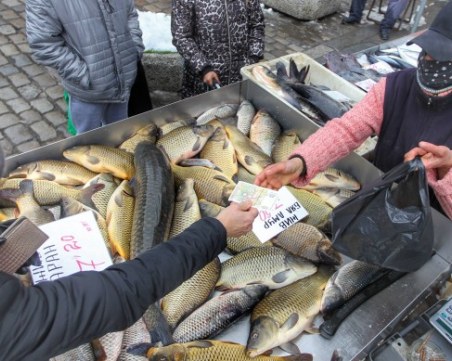 БАБХ започва проверки на обектите продаващи риба