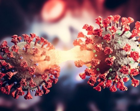 Китайски учени откриха антитяло, което неутрализира всички варианти на коронавируса