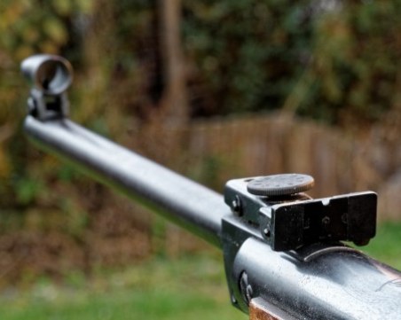 Мъж застреля четири кучета в Брестовица