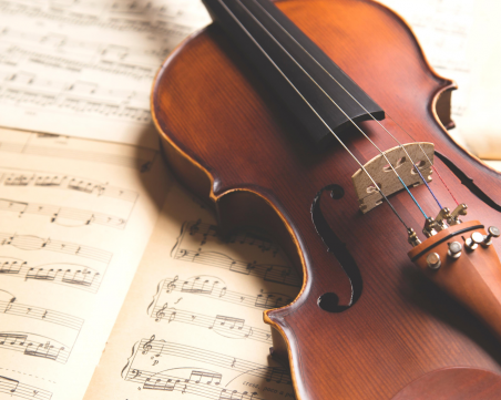 Цигулка изработена през 19 век е открадната във френски влак