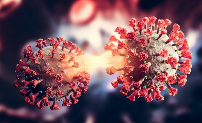 Китайски учени откриха антитяло, което неутрализира всички варианти на коронавируса