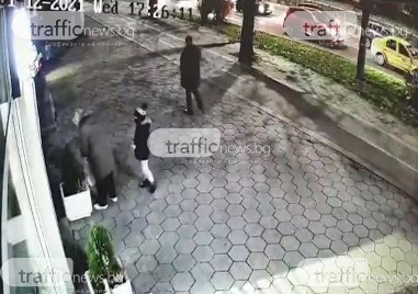 Охранителни камери заснеха възрастна жена да краде новозасадени цветя пред
