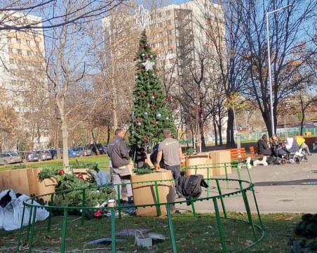 Запалват официално светлините на Коледната елха в 