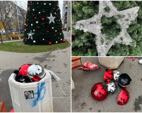 Деца ли сте или престъпници? Тийнейджъри рушиха коледната елха в 