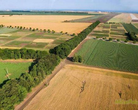 Къде са най-ниски цените на земи за земеделие у нас