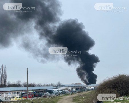 За кой ли път: Черен дим се стеле над Шекера, отново горят стари гуми