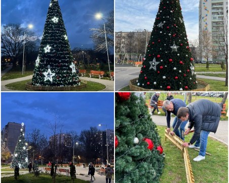 Възстановиха елхата в 