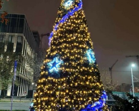 Запалването на светлините на Коледната елха в парк 