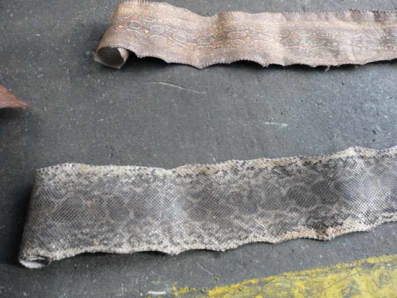 Иззеха крокодилски и змийски кожи в карго пратка от Аржентина на Летище София