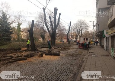 Започна подготовката за реконструкцията на улица Даме Груев От днес