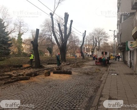 Разширяват  