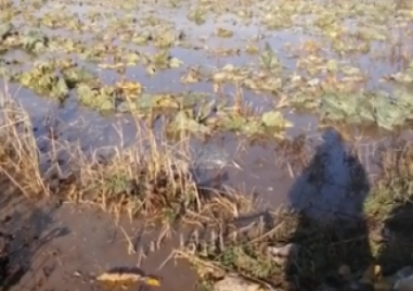 Започва укрепване на засегнатите участъци от наводнението в Садово и