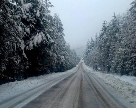 Сняг ограничи движението по някои от проходите в страната