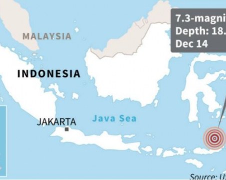 7,3 по Рихтер разтърси Индонезия