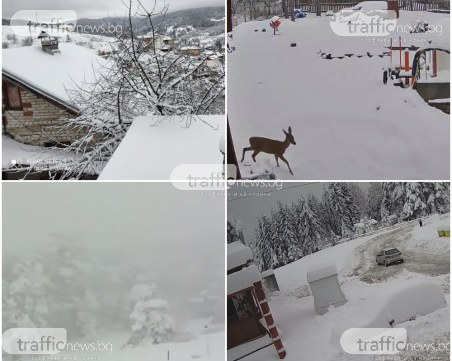 Бяла приказка край Пловдив