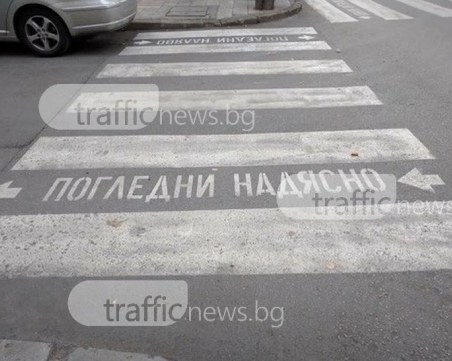 Камион блъсна и уби жена на пешеходна пътека в София