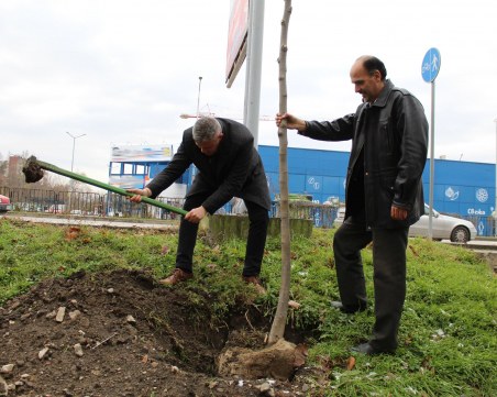 Три залесителни акции в район 