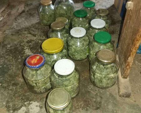 60 грама марихуана са иззети при спецакция в Пловдив