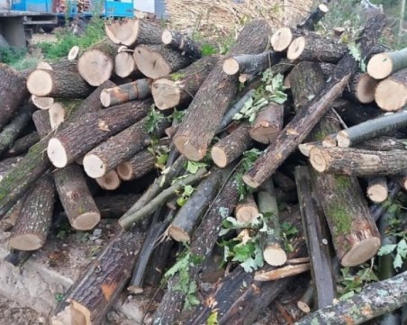 Карловец измами 9 пенсионери, обеща им евтини дърва още през лятото и драсна