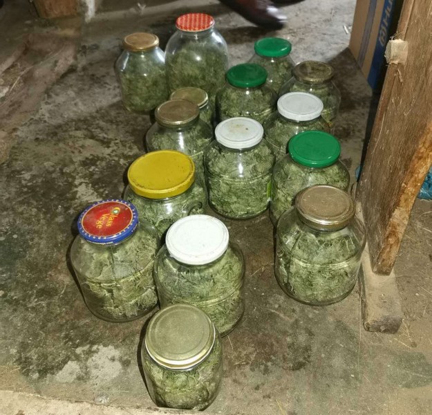 60 грама марихуана са иззети при спецакция в Пловдив