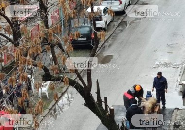 Мнозина българи смятат че думата Коледа идва от традиционното колене на прасе в този