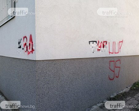 Футболни фенове 