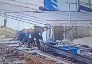 Охранителна камера засне опасно посегателство на ЖП гара край Пловдив