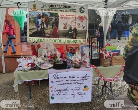 Провеждат благотворителен базар за кученцата от Общинския приют на Пловдив
