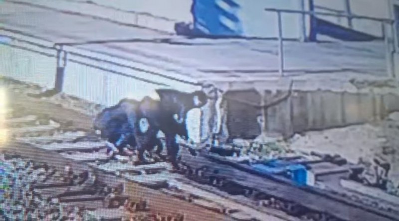 Охранителна камера засне опасно посегателство на ЖП гара край Пловдив.