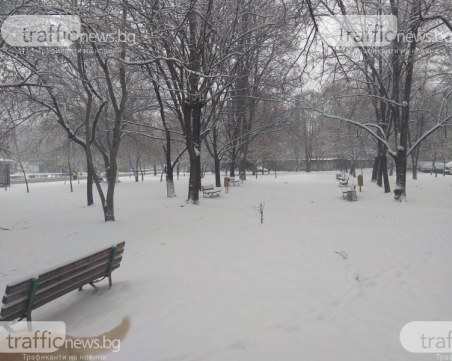 Днес настъпва астрономическата зима