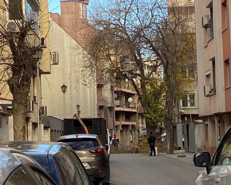 Сеч на черница предизвика големи тапи от коли в центъра на Пловдив