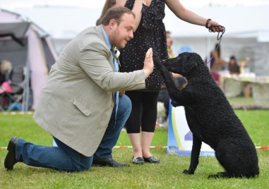 След 1 януари България няма да има свой представител в