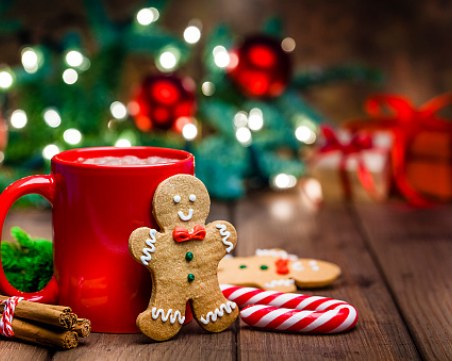 Коледни тролове, огнени топки и елхи с паяжина - най-странните традиции по света