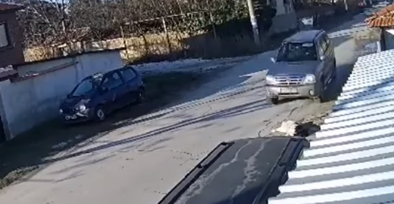 Прокуратурата се захвана с шофьора, прегазил куче край Пазарджик