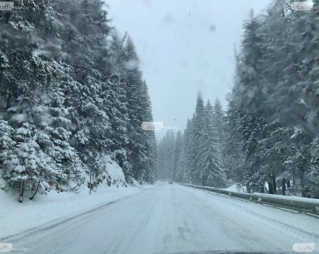 Асеновград – Пампорово сред най-опасните пътни отсечки у нас по празниците