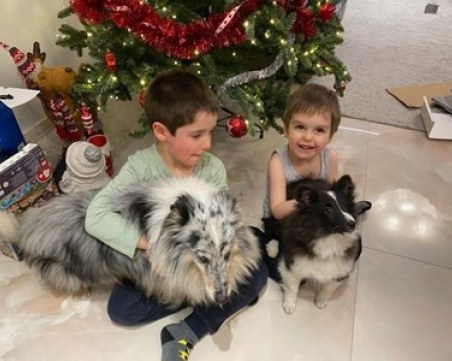 Борисов: Вкъщи с внуците и техните любимци е най-хубавото време