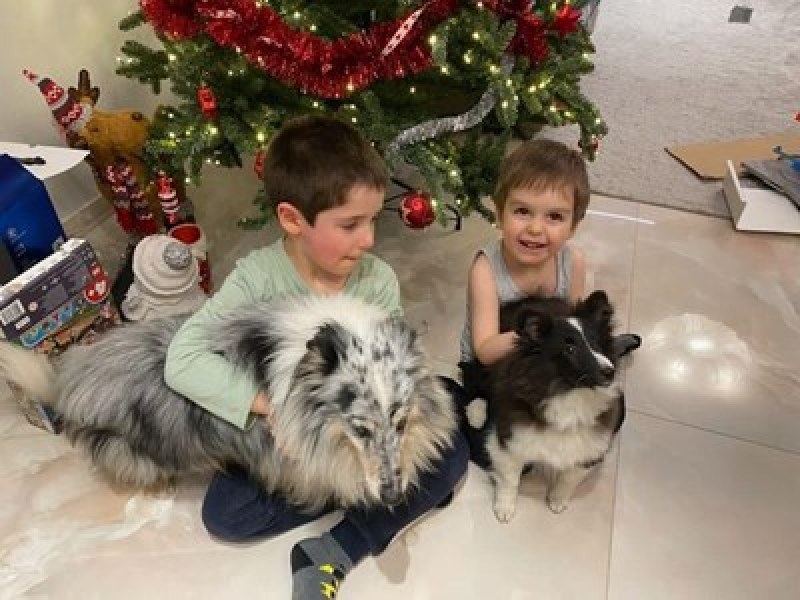 Борисов: Вкъщи с внуците и техните любимци е най-хубавото време