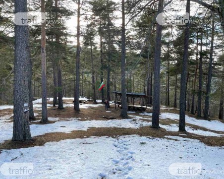 Времето януари: От -15 до +17 градуса