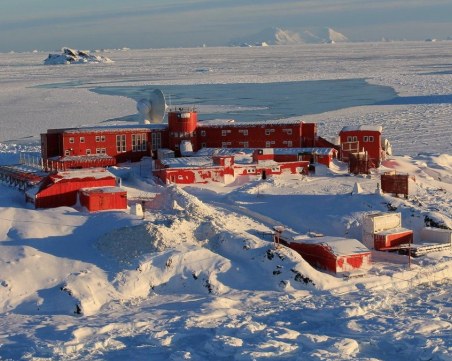 Коронавирус и на Антрактида