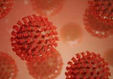 Във Франция е открит нов щам на коронавируса съобщи Frankfurter