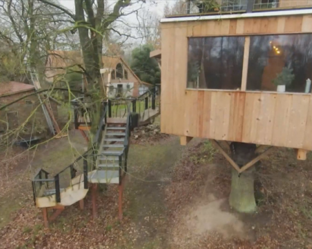 Семейство живее в къща на дърво