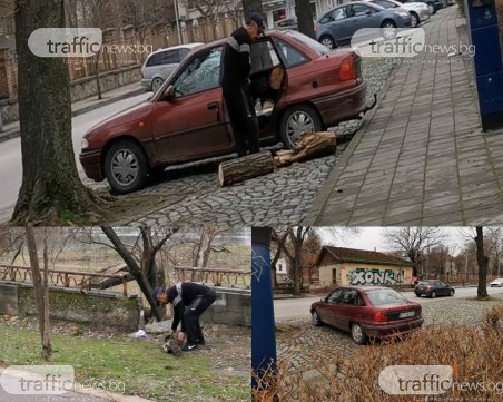 Коритото на река Марица в Пловдив – обект на незаконна сеч! Бракониери режат и изнасят дървесина наред