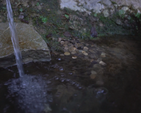 Легендите за лековития кладенец в берковското село Балювица