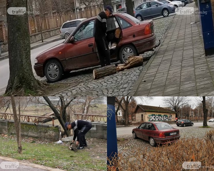 Коритото на река Марица в Пловдив – обект на незаконна сеч! Бракониери режат и изнасят дървесина наред